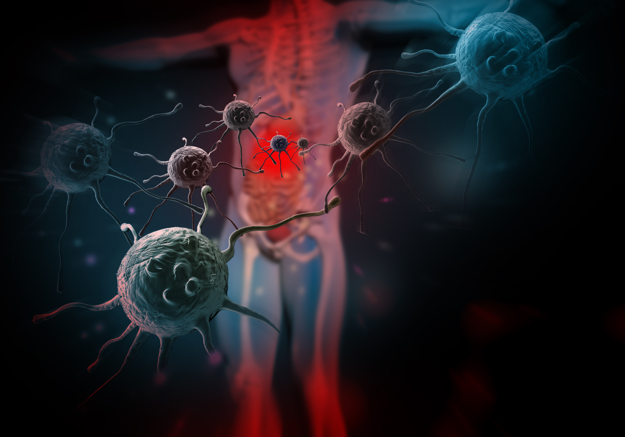 Immunsystem stärken ab 40: Wie Autophagie deine Abwehr unterstützt