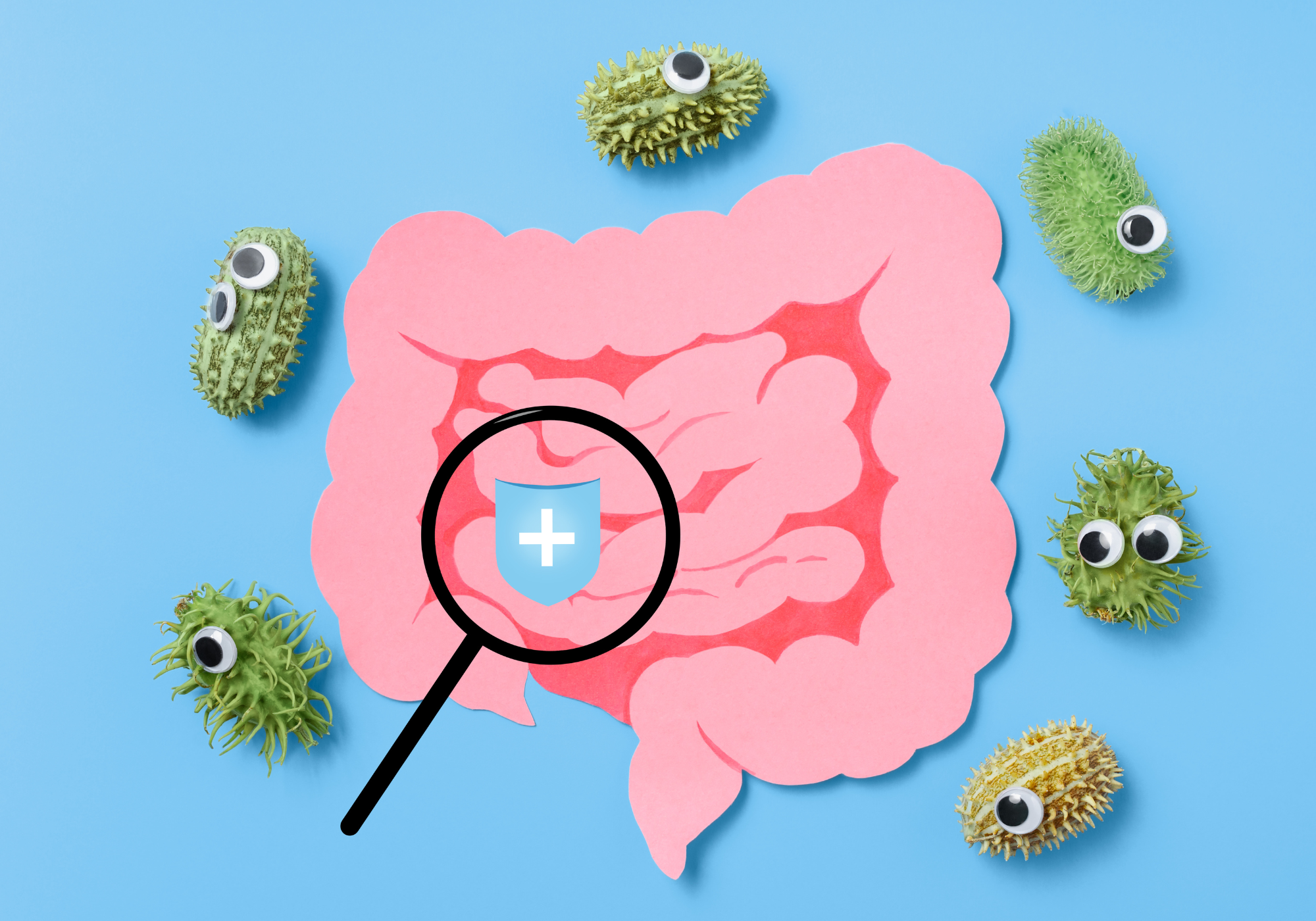 Darmflora nach Antibiotika unterstützen: Physiologische Zusammenhänge und sanfte Alltagsstrategien