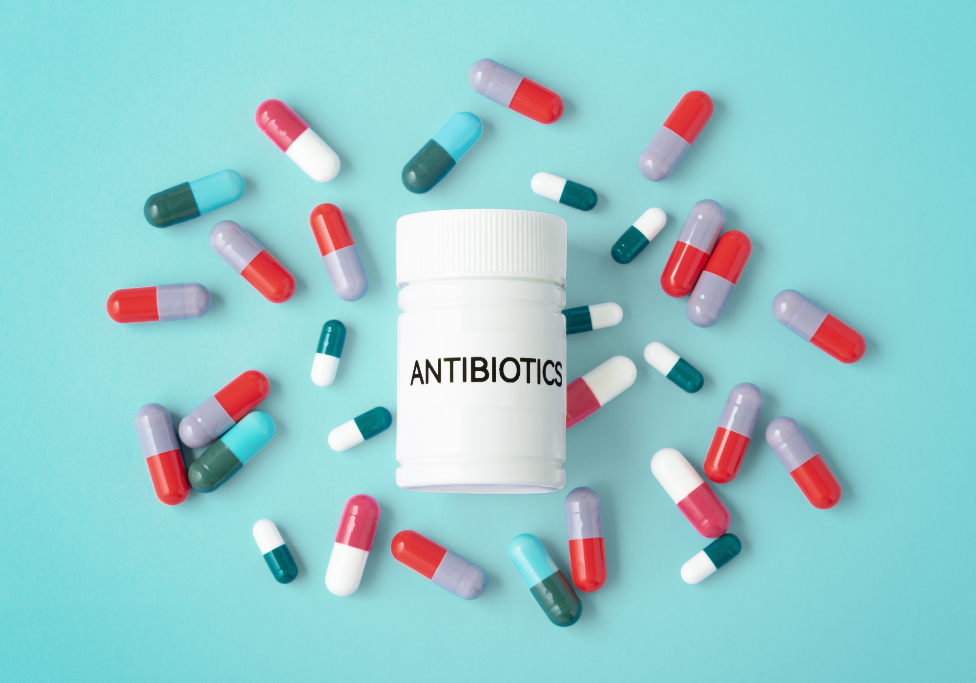 Darmgesundheit unterstützen nach Stress, Antibiotika und Fehlernährung