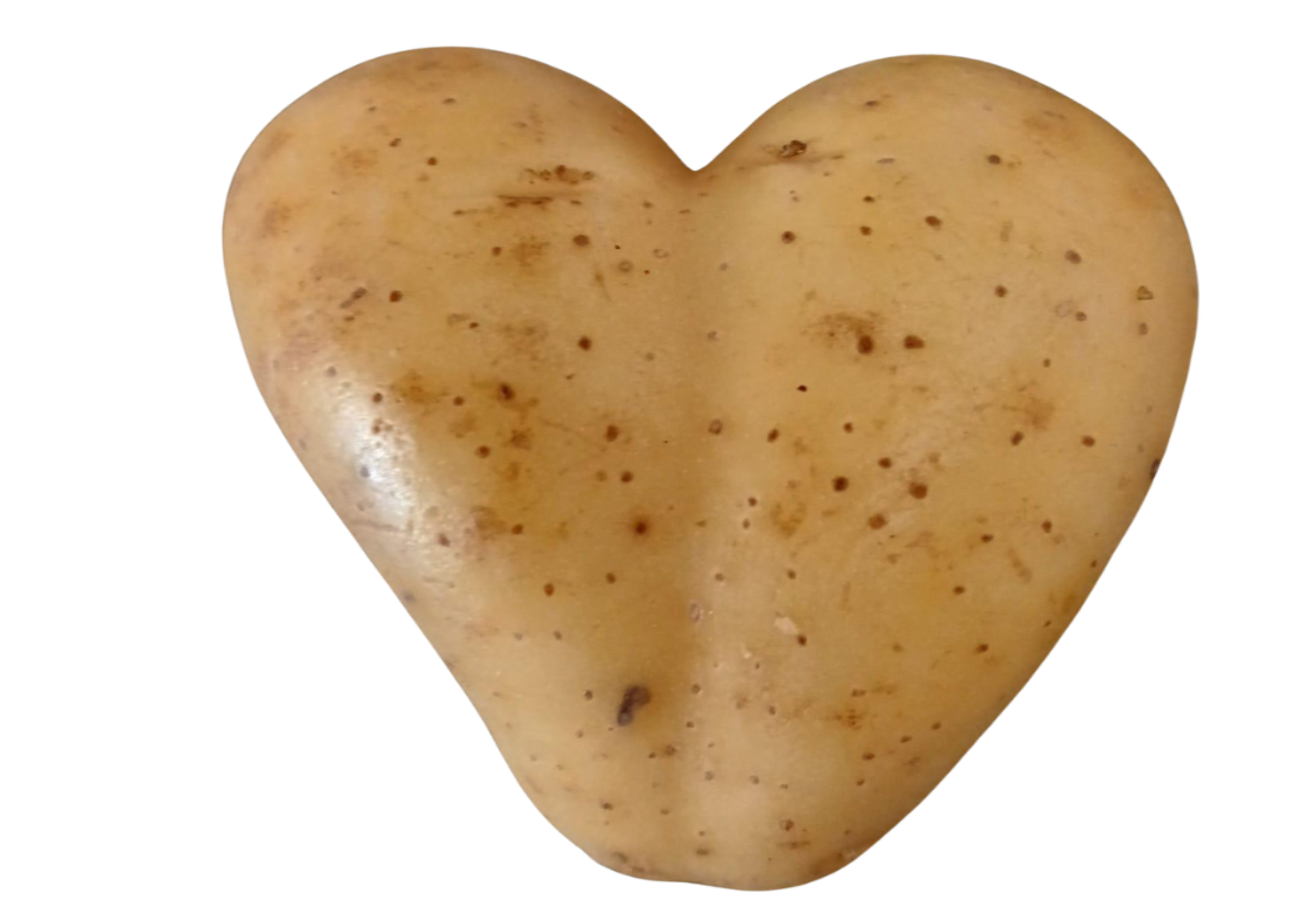 Warum Kartoffelpresssaft so wichtig ist