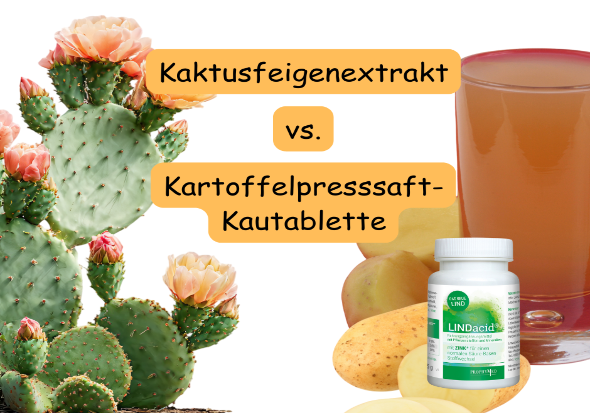 Reflutin – Wirkung, Anwendung & wie LINDacid eine bessere Alternative sein kann