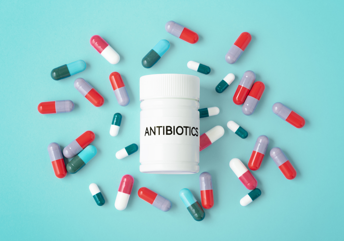 Darmgesundheit unterstützen nach Stress, Antibiotika und Fehlernährung